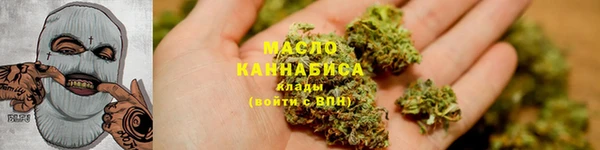 дживик Каменка