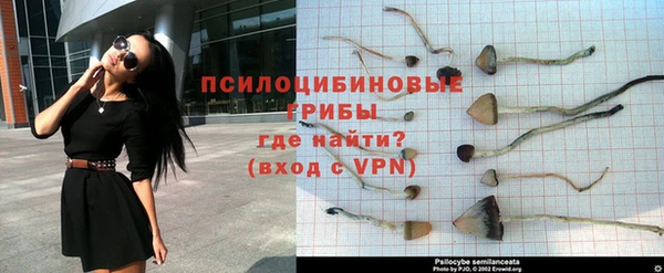 прущие грибы Киреевск