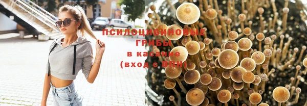 прущие грибы Киреевск