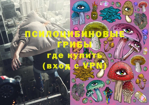 прущие грибы Киреевск