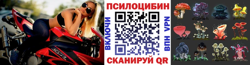 Псилоцибиновые грибы MAGIC MUSHROOMS  даркнет клад  Мелеуз  блэк спрут ONION 