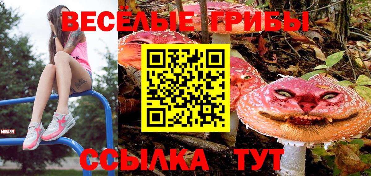 Галлюциногенные грибы Cubensis Мелеуз